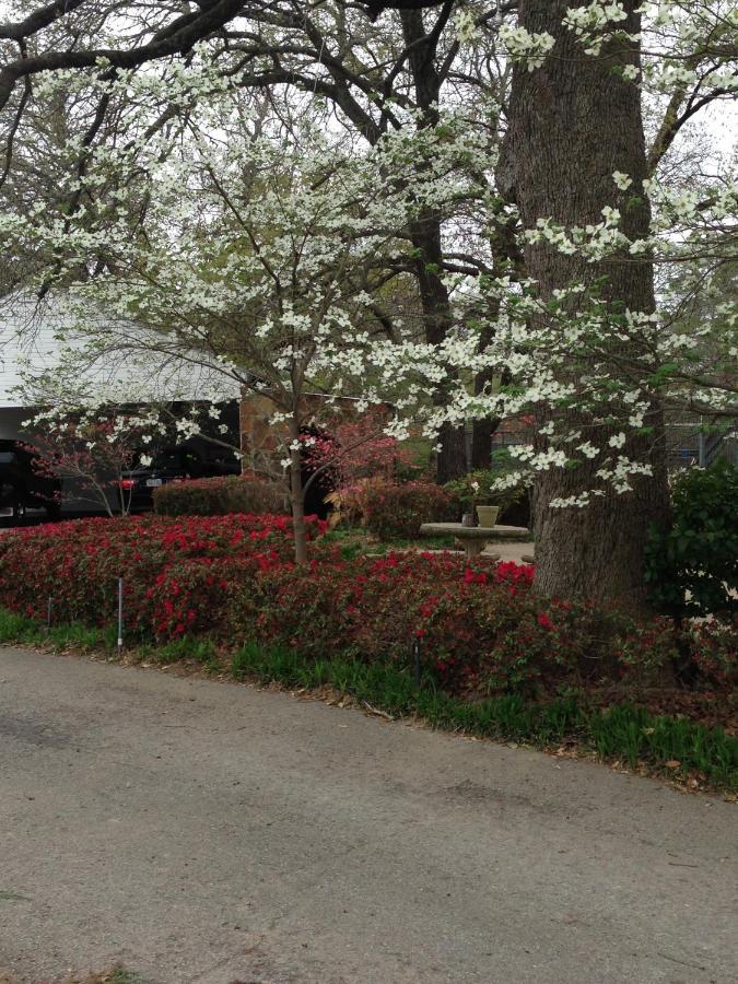 Dogwood Springs Lodgings Mineola エクステリア 写真